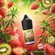CBD Drops 300 мг Kiwi+Strawberry, ківі та полуниця, Restlab 213217072026 фото 2