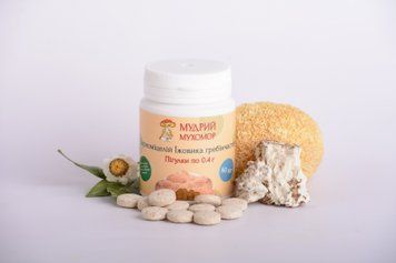 Їжовик гребінчастий Пігулки &ndash; 60 пігулок 0.4г 13062811 фото