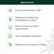 Олія КБД Isolate 5% 500 мг MCT зі смаком &laquo;М&rsquo;ята&raquo;, 10 мл 98766-V2 фото 3