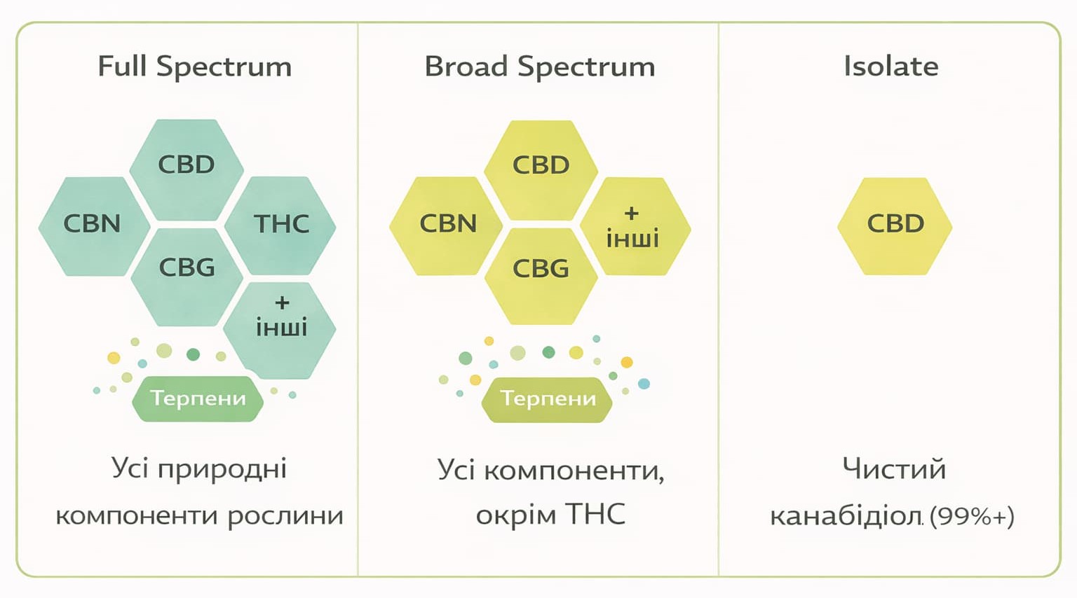 Типи спектру CBD: Full Spectrum, Broad Spectrum та ізолят