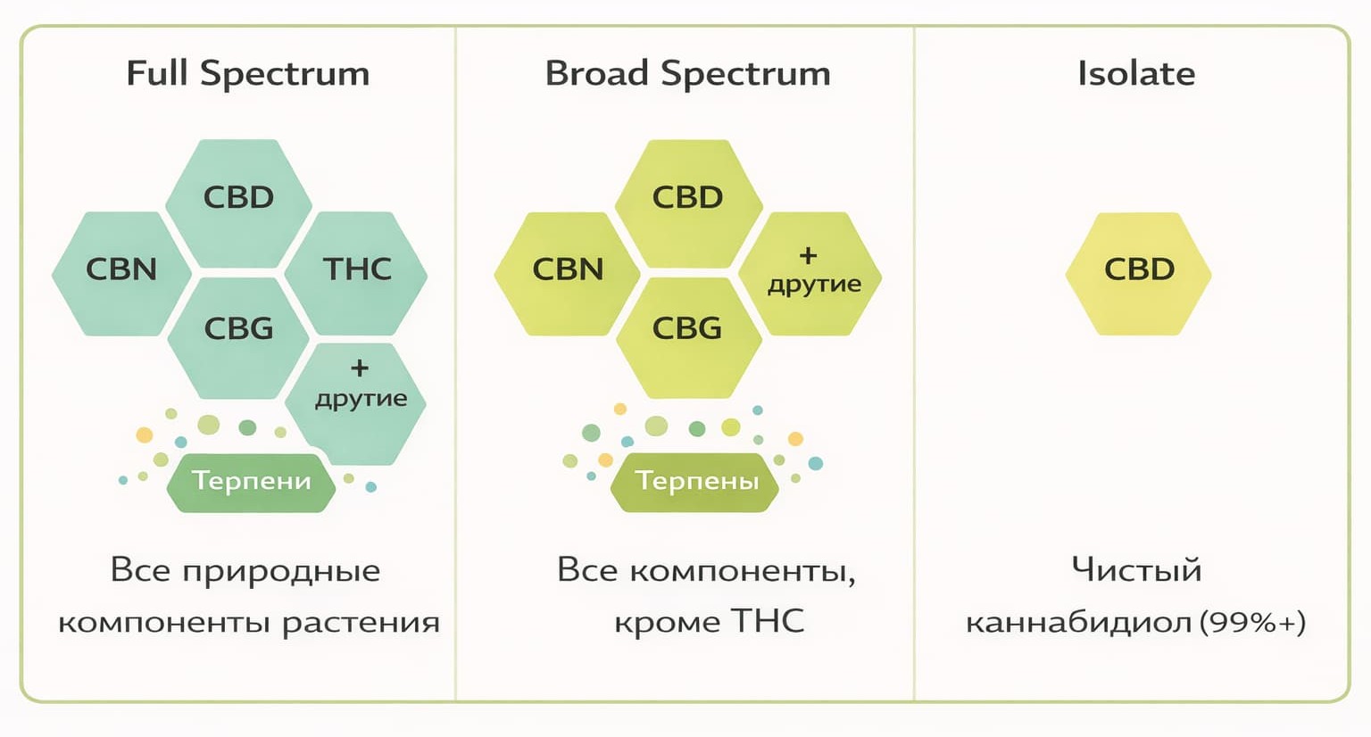 Типы спектра CBD: сравнение Full Spectrum, Broad Spectrum и изолята